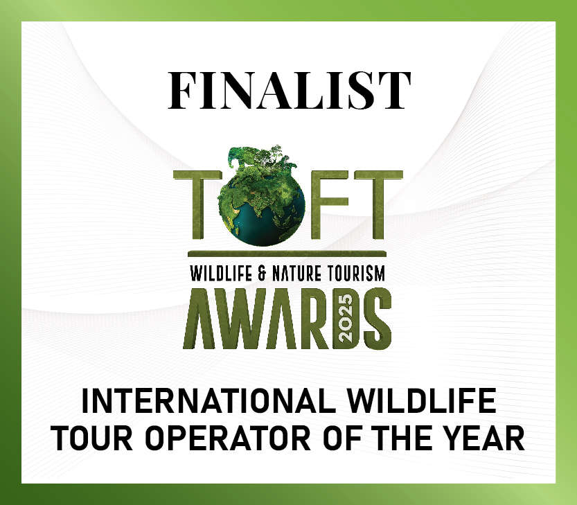 TOFT Awards - International Wildlife Tour Operator of the Year 2025